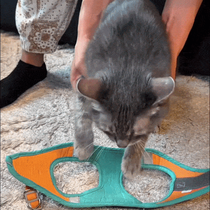 Bravon™ Cat Harness & Leash Set