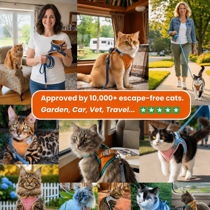 Bravon™ Cat Harness & Leash Set