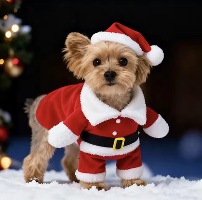 Dog Christmas Costume