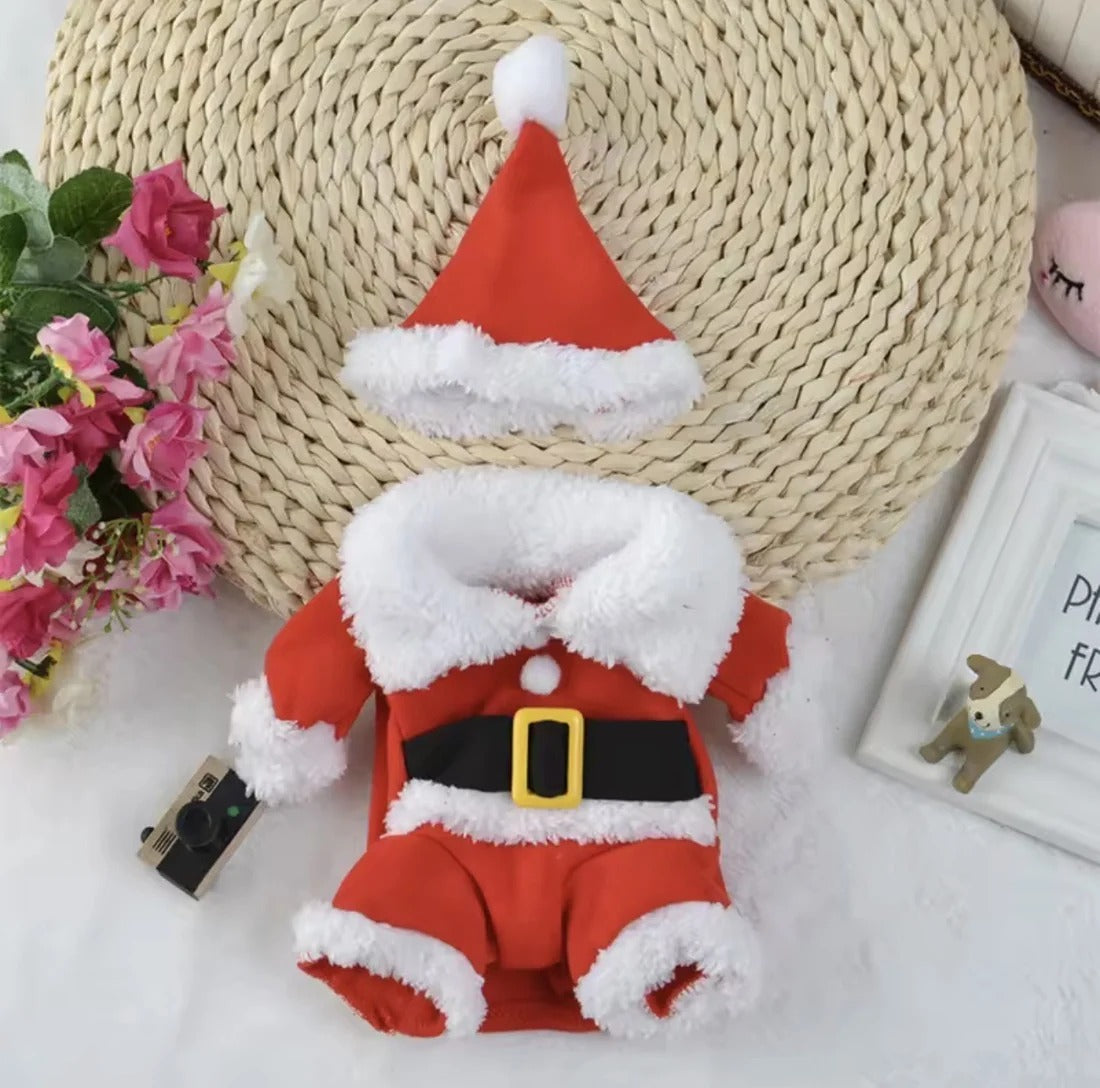 Dog Christmas Costume