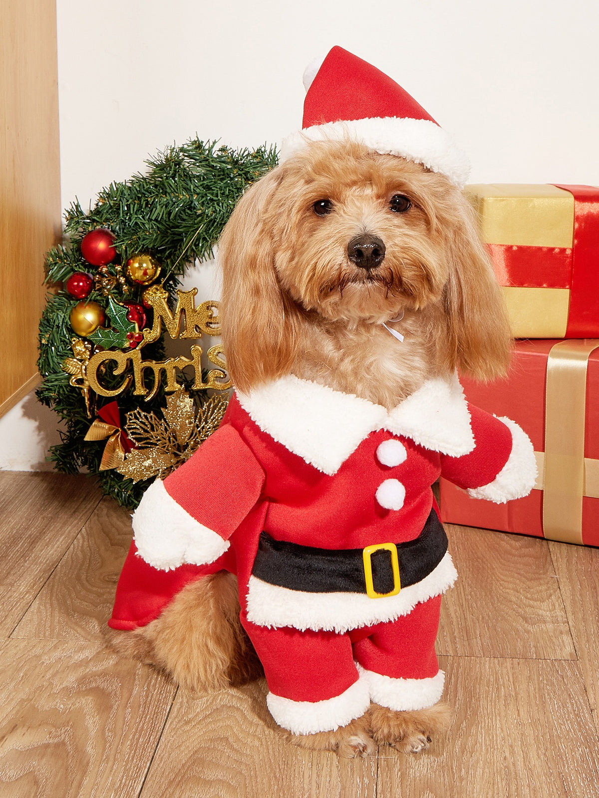 Dog Christmas Costume