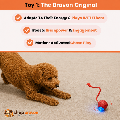 Bravon™ Interactive Play Bundle