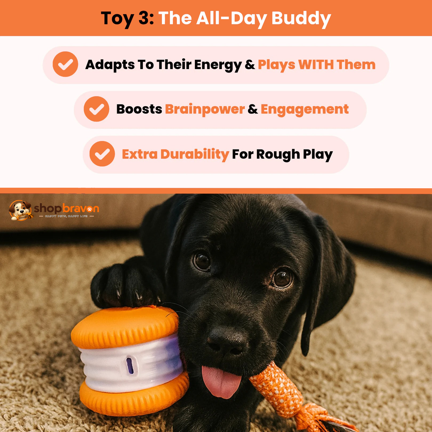 Bravon™ Interactive Play Bundle