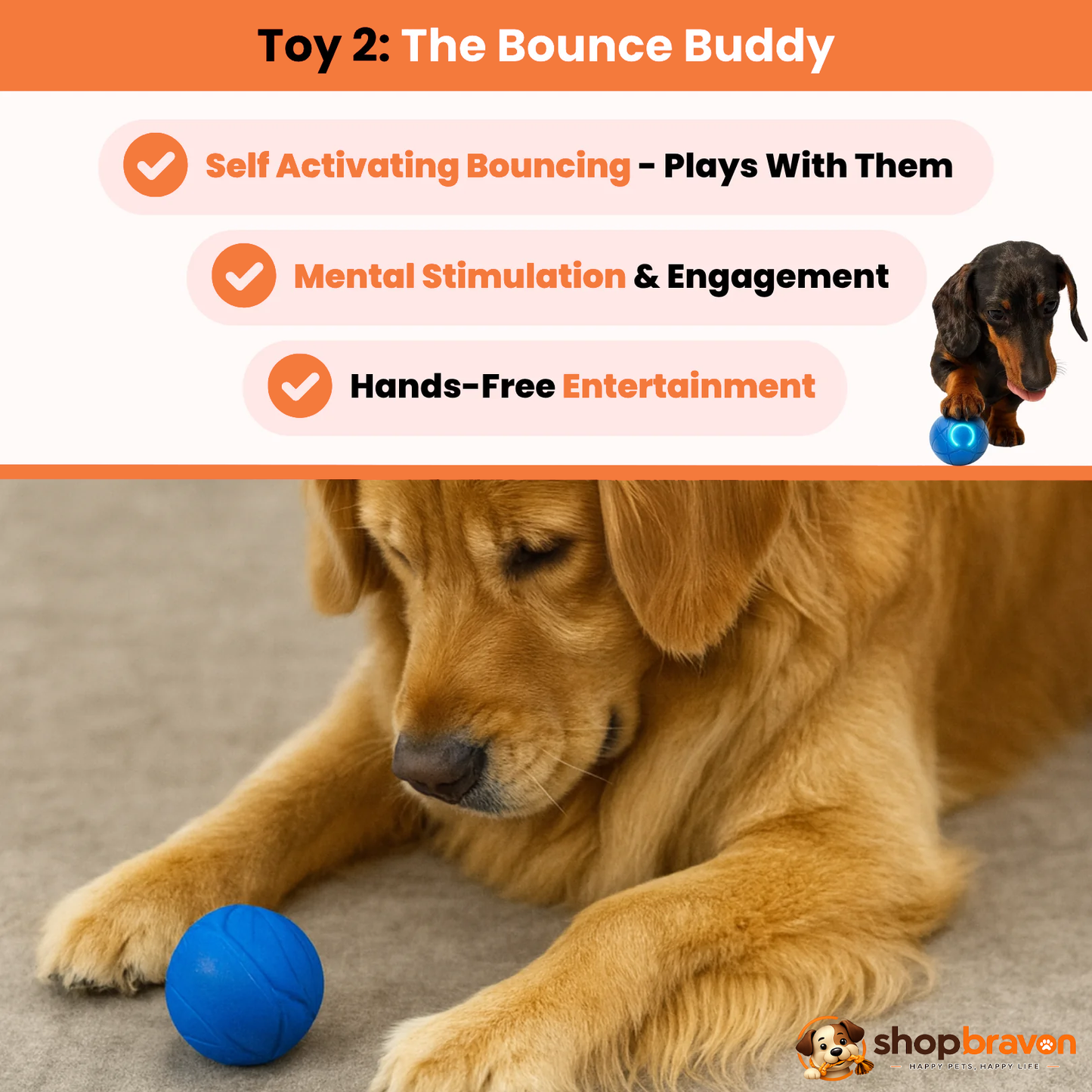 Bravon™ Interactive Play Bundle