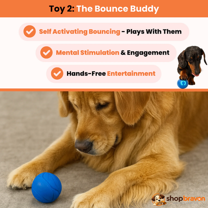Bravon™ Interactive Play Bundle